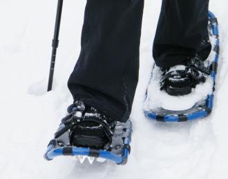 Schneeschuhe.jpg